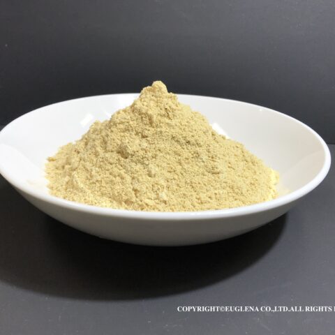 オーランチオキトリウム粉末 Aurantiochytrium Powder